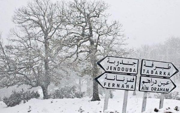 Tunisie : Nouvelle vague de froid dès ce soir