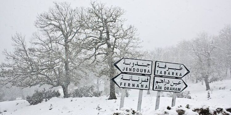 Un froid polaire s’abattra sur la Tunisie dès demain