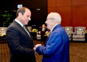 Le pr&eacute;sident &eacute;gyptien veut renforcer la coop&eacute;ration antiterroriste avec la Tunisie