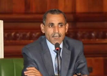 Corruption : Le d&eacute;put&eacute; Fay&ccedil;el Tebbini porte plainte contre plusieurs responsables &agrave; Jendouba