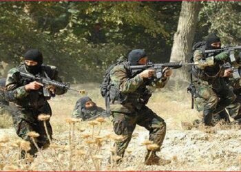 Echange de tirs entres l'arm&eacute;e et des terroristes &agrave; Ghardimaou