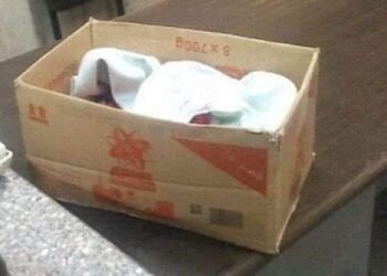 Placer les cadavres des b&eacute;b&eacute;s dans des cartons, une "mascarade" selon Chahed