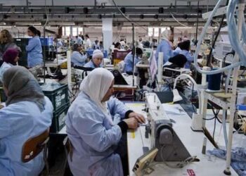 En Tunisie, 45% des d&eacute;penses familiales assur&eacute;es par les femmes !