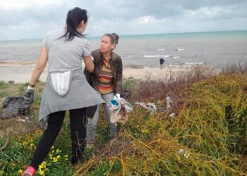A Gammarth, la soci&eacute;t&eacute; civile nettoie, d&eacute;j&agrave;, la plage !