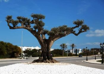 Sommet Arabe : La Tunisie "se maquille" pour plaire aux h&ocirc;tes