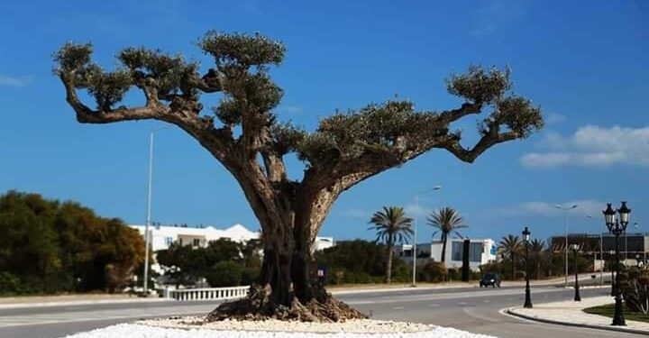 Sommet Arabe : La Tunisie "se maquille" pour plaire aux h&ocirc;tes