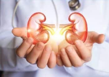 1350 Tunisiens attendent une transplantation r&eacute;nale