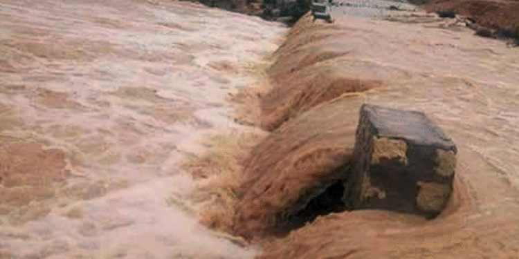 Les intempéries détruisent 350 ha de terres agricoles au Kef