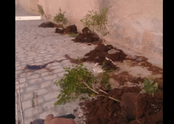 M&ecirc;me les pots de fleurs ne sont pas &eacute;pargn&eacute;s !