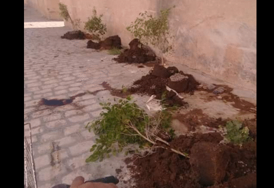 Même les pots de fleurs ne sont pas épargnés !