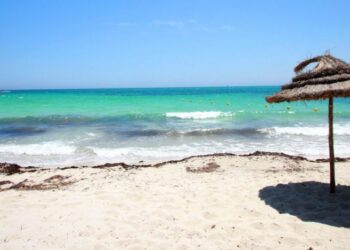 ONTT : Le budget allou&eacute; &agrave; la promotion du tourisme en devises a diminu&eacute; de 50%