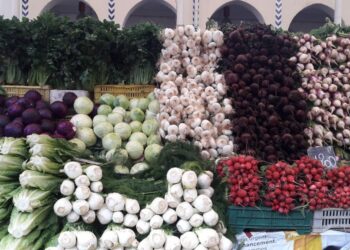 Installation artistique au Marché central : Le plus impressionniste des étalages