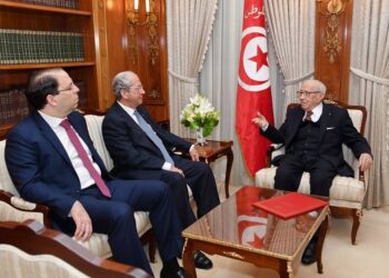 Le Conseil de s&eacute;curit&eacute; nationale se penche sur le dossier libyen