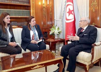 B&eacute;ji Ca&iuml;d Essebsi : "L'exp&eacute;rience d&eacute;mocratique tunisienne reste fragile"