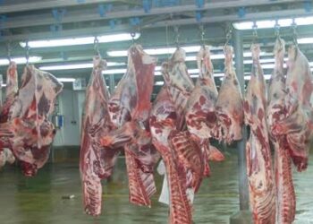 Sur 200 abattoirs, 10 seulement respectent les normes sanitaires !