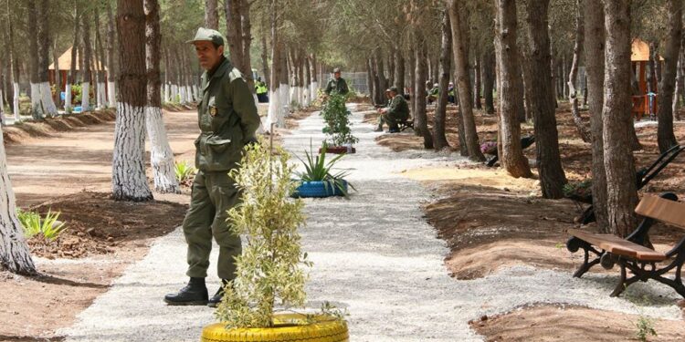 Tunis : La première forêt urbaine voit le jour à El-Agba