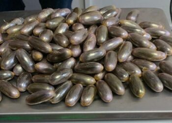 Tunis-Carthage : Il se fait arr&ecirc;ter avec 130 capsules de cannabis dans l'estomac