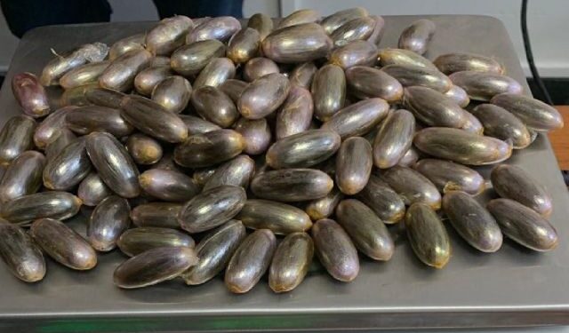 Tunis-Carthage : Il se fait arrêter avec 130 capsules de cannabis dans l'estomac