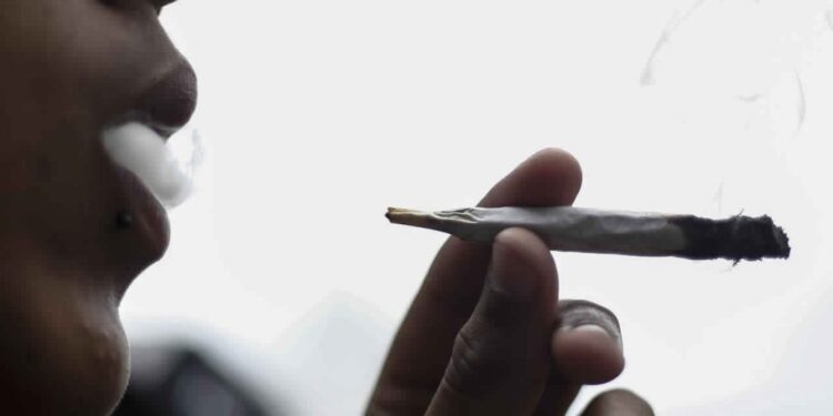 Parlementaires, élus, professionnels de la santé, agriculteurs... pour débattre de la légalisation du cannabis