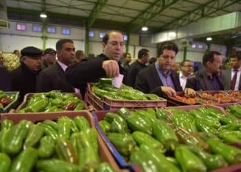 Youssef Chahed a-t-il commenc&eacute; sa campagne &eacute;lectorale ?