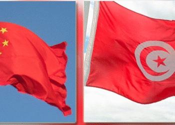 Malgr&eacute; des importations record, la Chine n'a cr&eacute;&eacute; que 26 emplois en Tunisie !