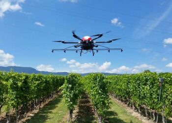 Tunisie : L'agriculture fait d&eacute;sormais appel aux drones