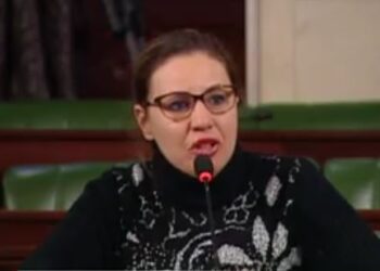 Fatma Mseddi d&eacute;missionne de Nidaa Tounes