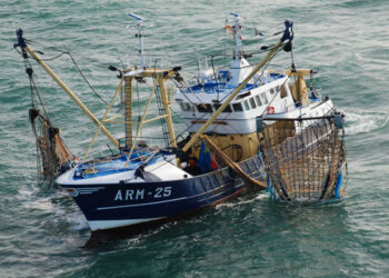 Tunisie : Des navires offerts par le Japon pour lutter contre la p&ecirc;che illicite
