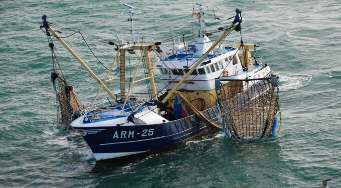 Tunisie : Des navires offerts par le Japon pour lutter contre la p&ecirc;che illicite