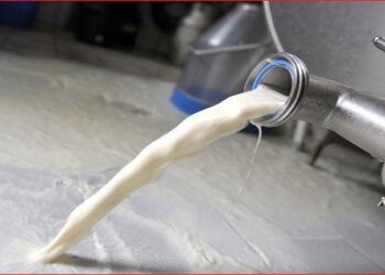 Secteur laitier : Olé, Olé !