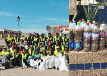 Tunis : Gr&acirc;ce aux jeunes, 1000 kg de d&eacute;chets et 10.500 m&eacute;gots de cigarettes collect&eacute;s