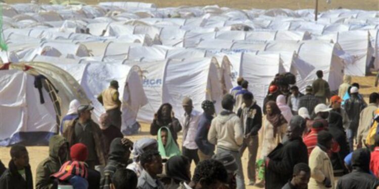 Cr&eacute;ation d'une coalition de d&eacute;fense des migrants, r&eacute;fugi&eacute;s et demandeurs d'asile