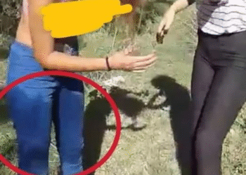 Agression film&eacute;e d&rsquo;une jeune fille : 5 accus&eacute;s plac&eacute;s en d&eacute;tention