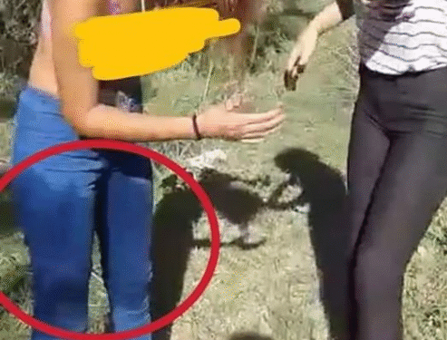 Agression filmée d'une jeune fille : L'auteure de la vidéo arrêtée, sa sœur toujours recherchée