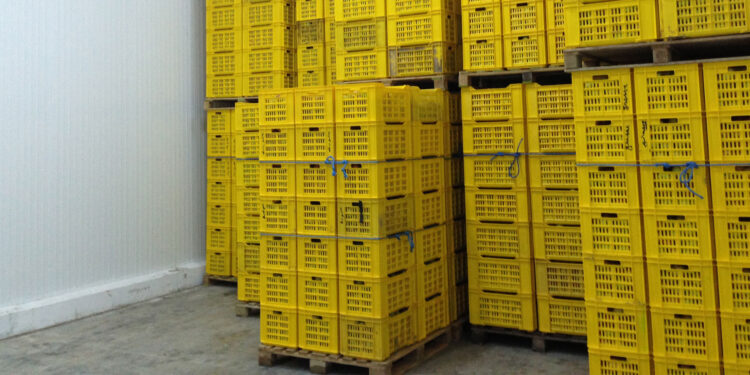 Spéculation : Opération coup de poing dans tous les gouvernorats