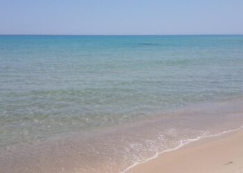 Les eaux pollu&eacute;es menacent la plage de Tazarka