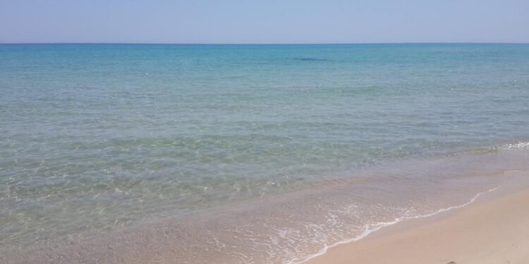 Les eaux polluées menacent la plage de Tazarka