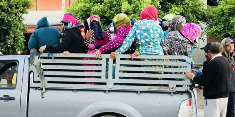 Les camions de la mort sévissent encore et toujours : 6 ouvrières blessées à Médenine