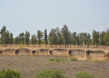 Comme Carthage, Raqqada, ancienne capitale aghlabide, est invisible