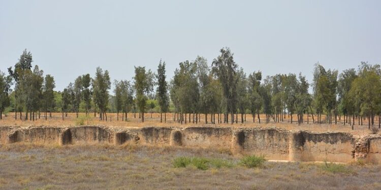 Comme Carthage, Raqqada, ancienne capitale aghlabide, est invisible