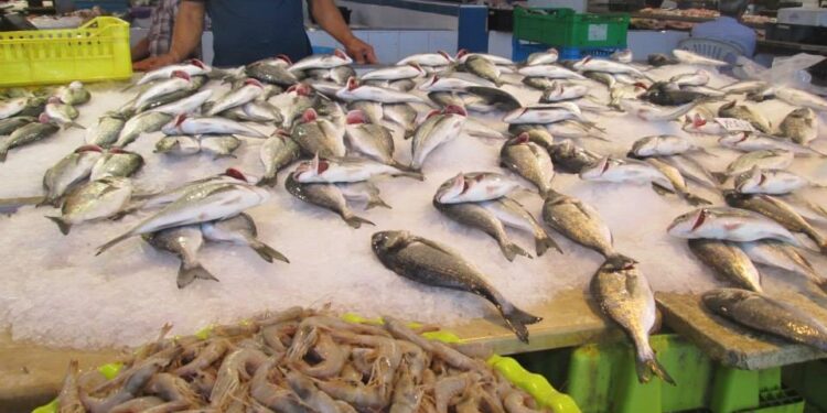 La daurade, le thon en conserve et le crabe, tunisiens, ont du succès à l'étranger