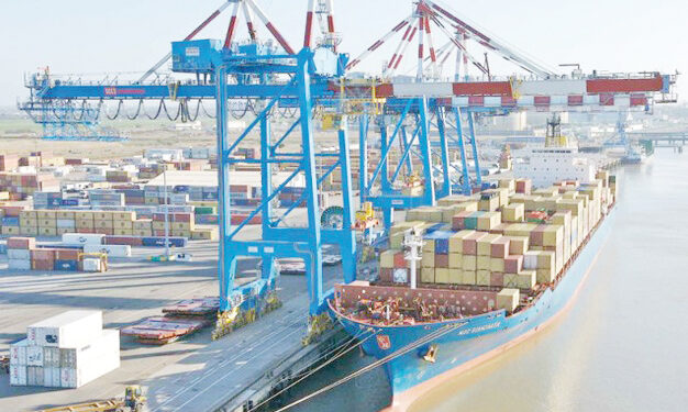 Importations tunisiennes : On est fort comme un Turc !