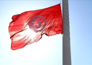 Sondage : La meilleure cote de confiance &agrave; Tahya Tounes et Nabil Karoui