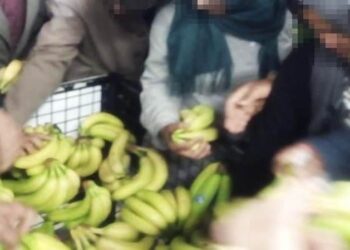 A Tunis, on se bouscule pour s&rsquo;offrir des bananes !