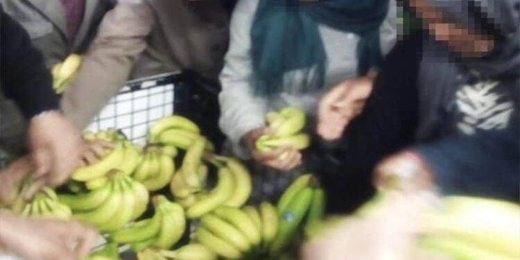 A Tunis, on se bouscule pour s’offrir des bananes !