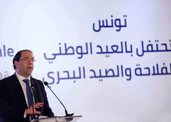 Chahed : "L'ALECA devrait tenir compte de l'&eacute;cart de d&eacute;veloppement entre la Tunisie et l'UE"