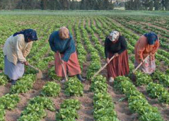 Plus de 1800 ouvri&egrave;res agricoles inscrites au programme "Ahmini"