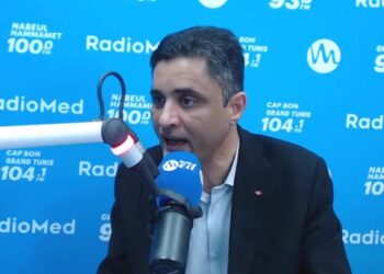 Hassouna Nasfi : "La lettre de Ben Ali n'est qu'un post Facebook r&eacute;dig&eacute; par son avocat"