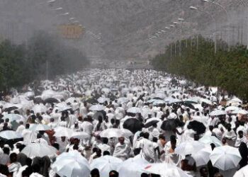 10.980 Tunisiens effectueront le p&egrave;lerinage