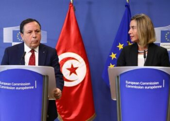 Elections : Invit&eacute;e officiellement &agrave; d&eacute;p&ecirc;cher une mission d'observation, l'UE accorde 2 MD &agrave; l'ISIE